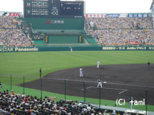 阪神甲子園球場 阪神タイガース プロ野球観戦
