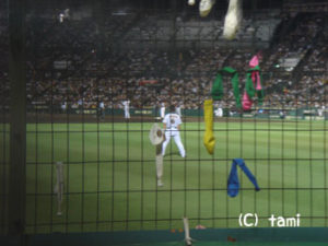 甲子園球場　阪神タイガース　プロ野球観戦