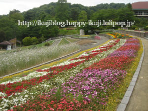和歌山県植物公園緑化センター　ピクニック　花見