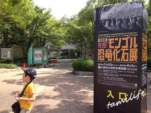 モンゴル恐竜化石展 大阪市立自然史博物館 博物館