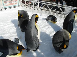 雪遊び ペンギンパレード 海遊館 水族館