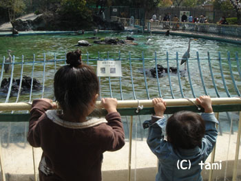 天王寺動物園 動物園　ピクニック