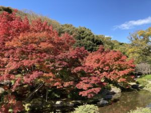 香川旅行 栗林公園 庭園