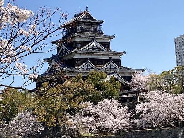 広島城 桜花見